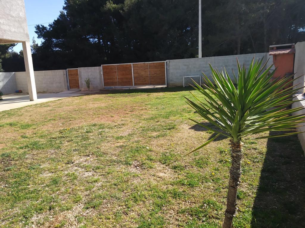 Apartman Toni Bibinje Exteriér fotografie